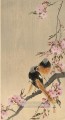 Colirrojo en rama de cerezo Ohara Koson Shin hanga